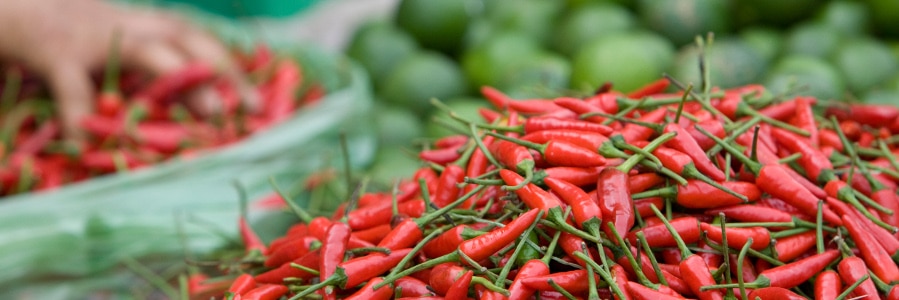 4-Art-4-Chilli-beitragsbild 4-Art-4-Chilli-beitragsbild