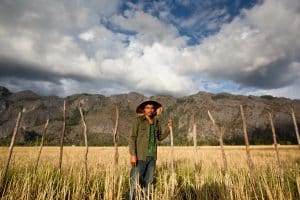 OMF in Asien: Mann auf Reisfeld