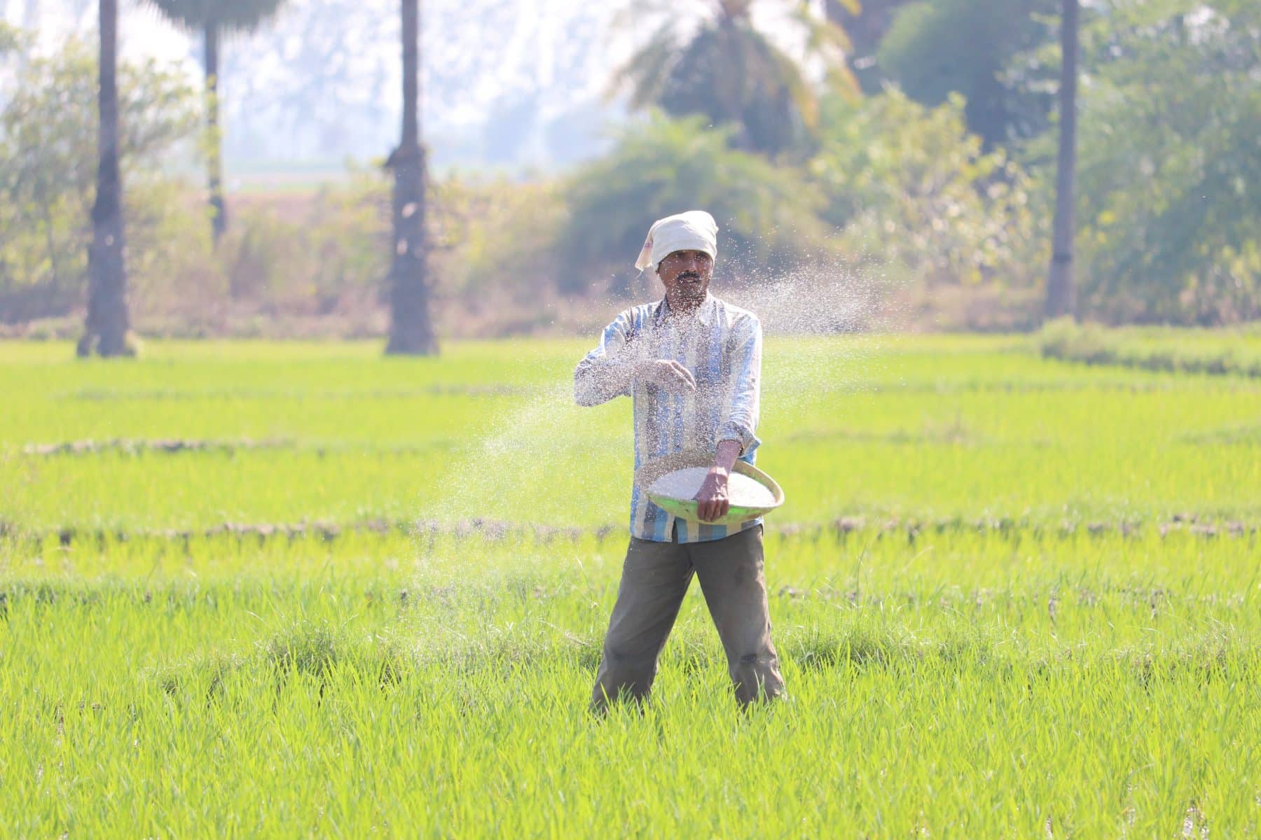 Farmer sowing by Foto von Vinay kumar Bairi von Pexels: https://www.pexels.com/de-de/foto/natur-sonnig-mann-feld-2460945/